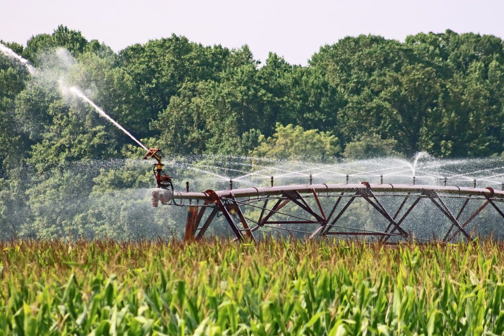 Irrigation in agricultural field