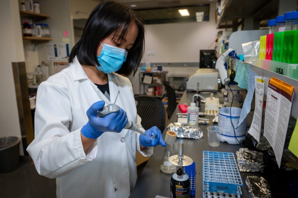 UConn Health researcher Wendy Mok has received the National Institutes of Health (NIH) Director’s New Innovator Award for her research involving bacterial interactions and antibiotic persistence..