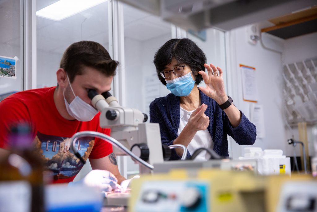Akiko Nishiyama advises a student in her lab who is using a microscope. 