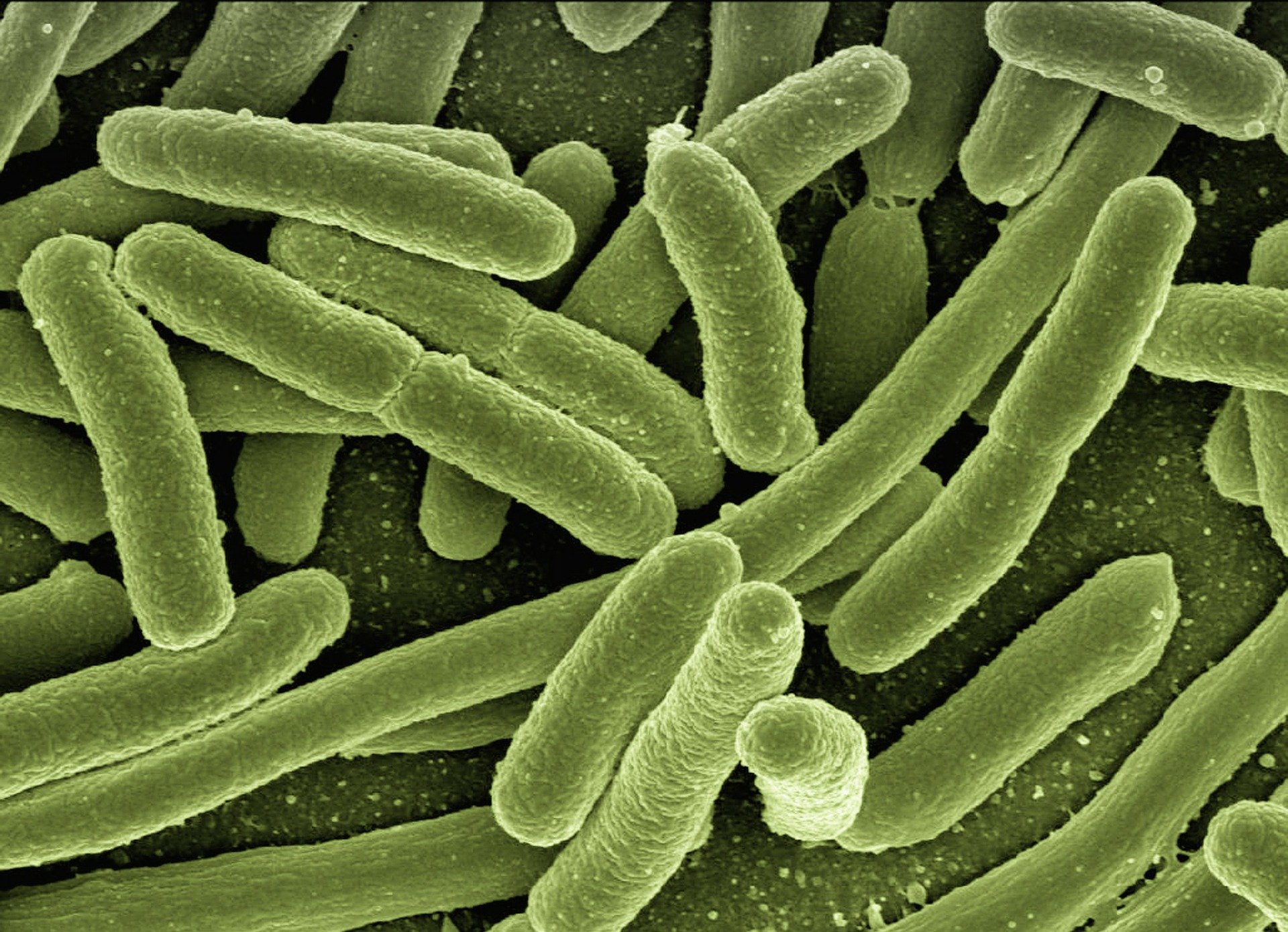 New Technology Improves Antibiotic Treatment Decisions - UConn Today