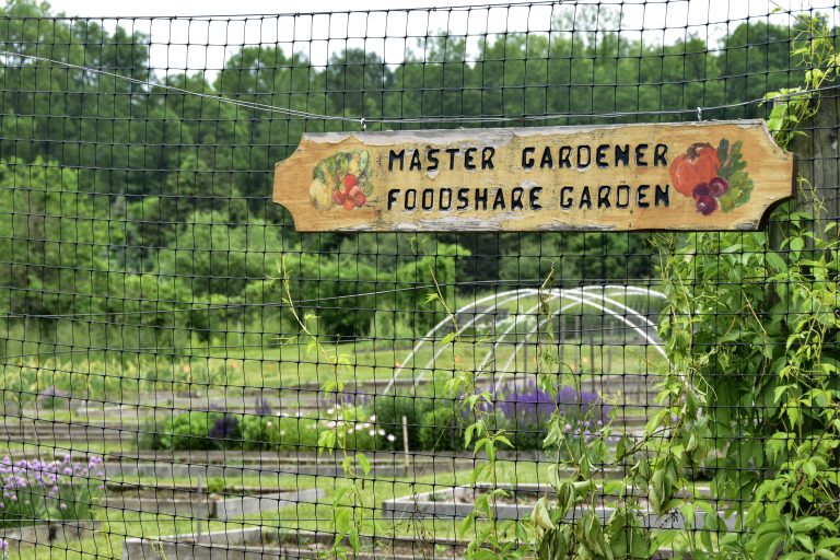 A generous donation will help Master Gardeners at Auerfarm in Bloomfield grow more healthy food for Foodshare clients.