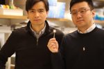 UConn researchers Thanh Nguyen, left, and Yang Liu, with the tissue scaffold made out of a biodegradable polymer that they say holds promise for treating ailments like arthritis.