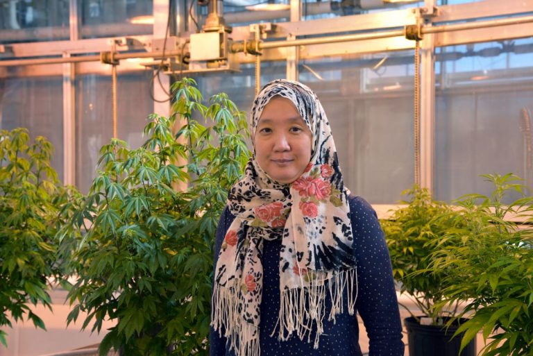 Woman standing near cannabis plant