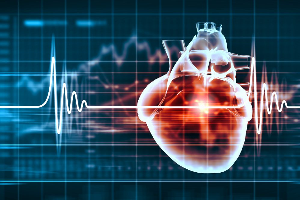 An illustration depicting the human heart against a scientific chart measuring heartbeats.