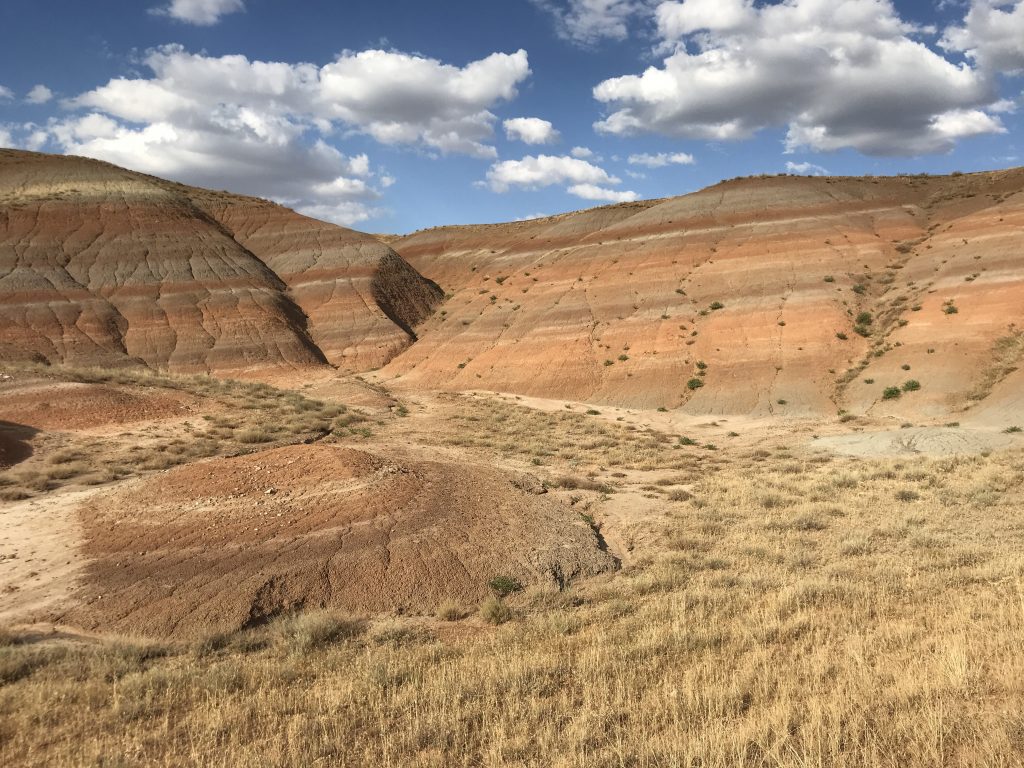 The dig site in Turkey, an area part of Çiçekdağı Basin where researchers found fossils of European mammals that migrated to Turkey before being isolated, possibly due to tectonic activity. (Courtesy of Megan Mueller).