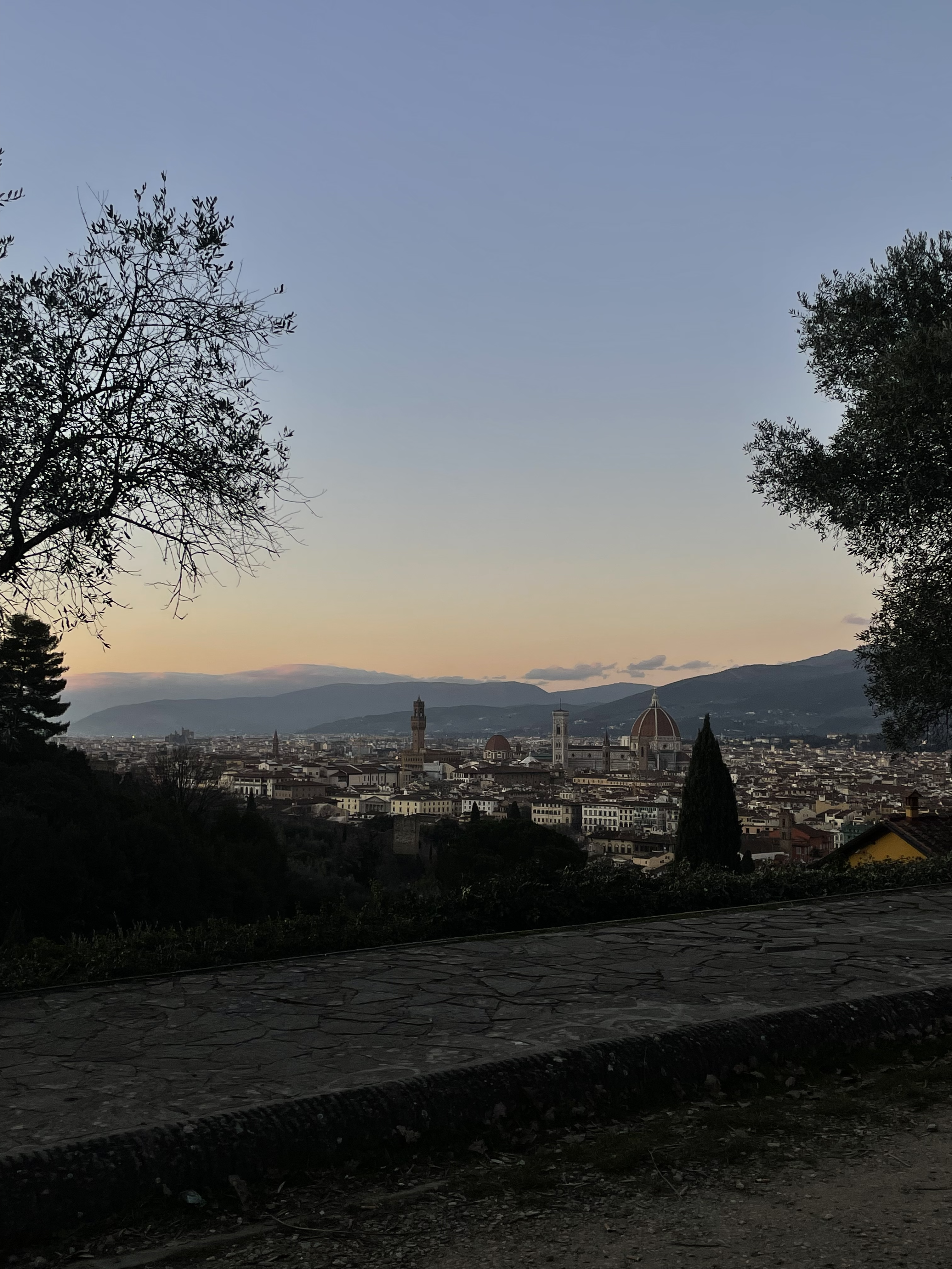 "View from Piazza Michelangelo over all of Florence" by Shayna Martin