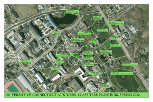 A map identifying all of the class trees around the Storrs campu