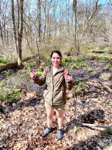 UConn student Michelle Hernandez in the woods, collecting what would become the 200,000th specimen in UConn's herbarium.