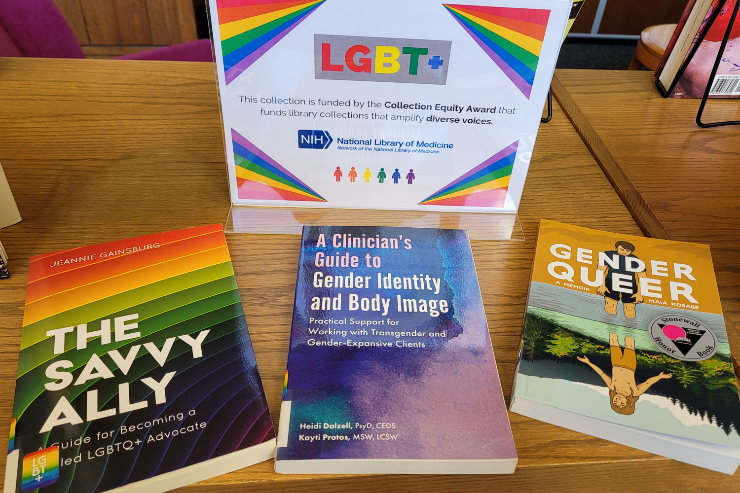 LGBTQ+ – PowerLibrarian Book Reviews