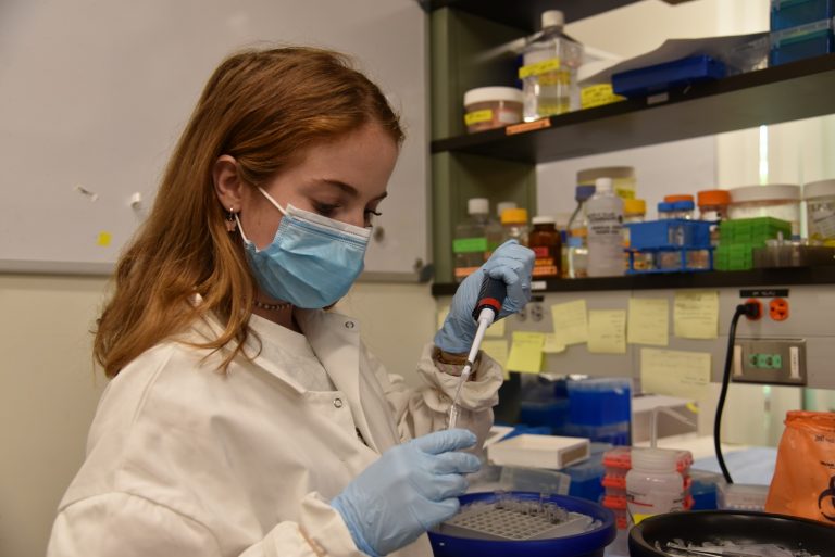 Abigail Interrante, an undergraduate student studying in the Department of Nutritional Sciences in the College of Agriculture, Health and Natural Resources, works in a lab in the Advanced Technology Laboratory.