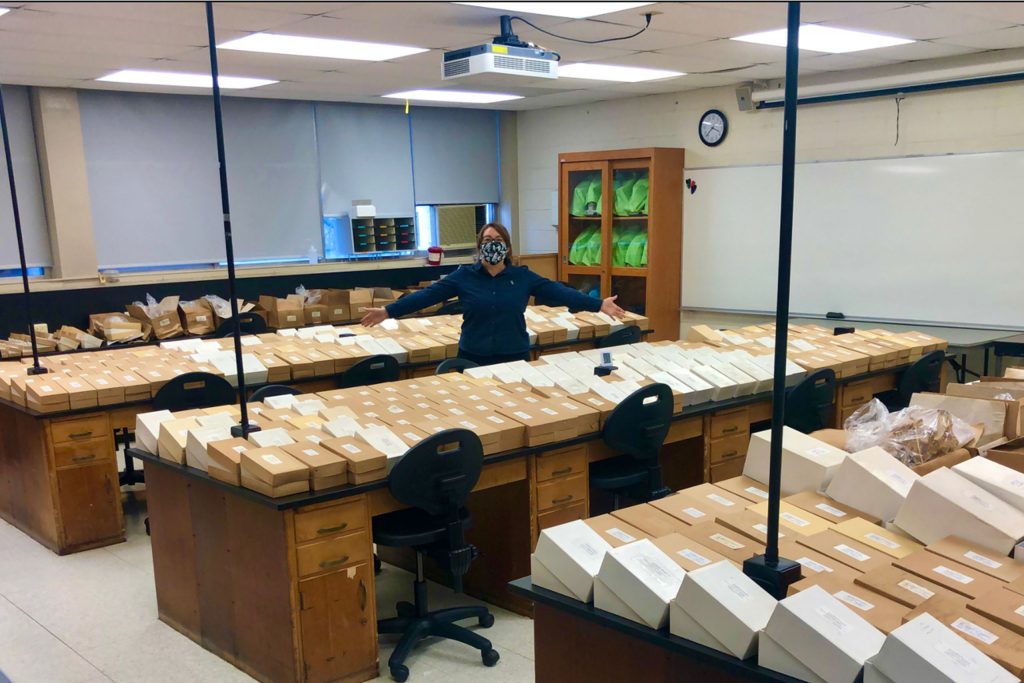 Bones drying after being rescued from water-damaged boxes.