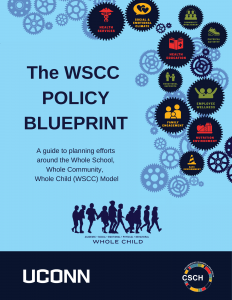 WSCC Policy Blueprint cover