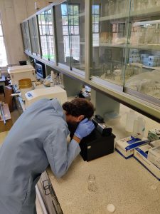 Graduate student Alex Janis examines groundwater samples in the Connecticut Institute of Water Resources. The institute recently received a $350,000 grant from the U.S. Department of Agriculture to expand groundwater testing in rural areas of the state.