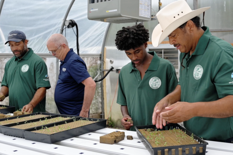Members of the Mashantucket Pequot Tribal Nation and Extension educator transplanting hydroponic lettuce at the Meechooôk Farm. Meechooôk Farm produces lettuce, tomato, and herbs hydroponically, and three sisters (corn, bean, and squash), pumpkin, strawberry, blueberry, and many other crops in the field.