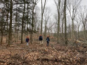 Students Alexandra Pouliot ’23 (CAHNR), Eric Colleran ’22 (CAHNR) and Aaron Chaffee ’22 (CAHNR) inspect completed resilience-treatment area at Mohegan State Forest. 