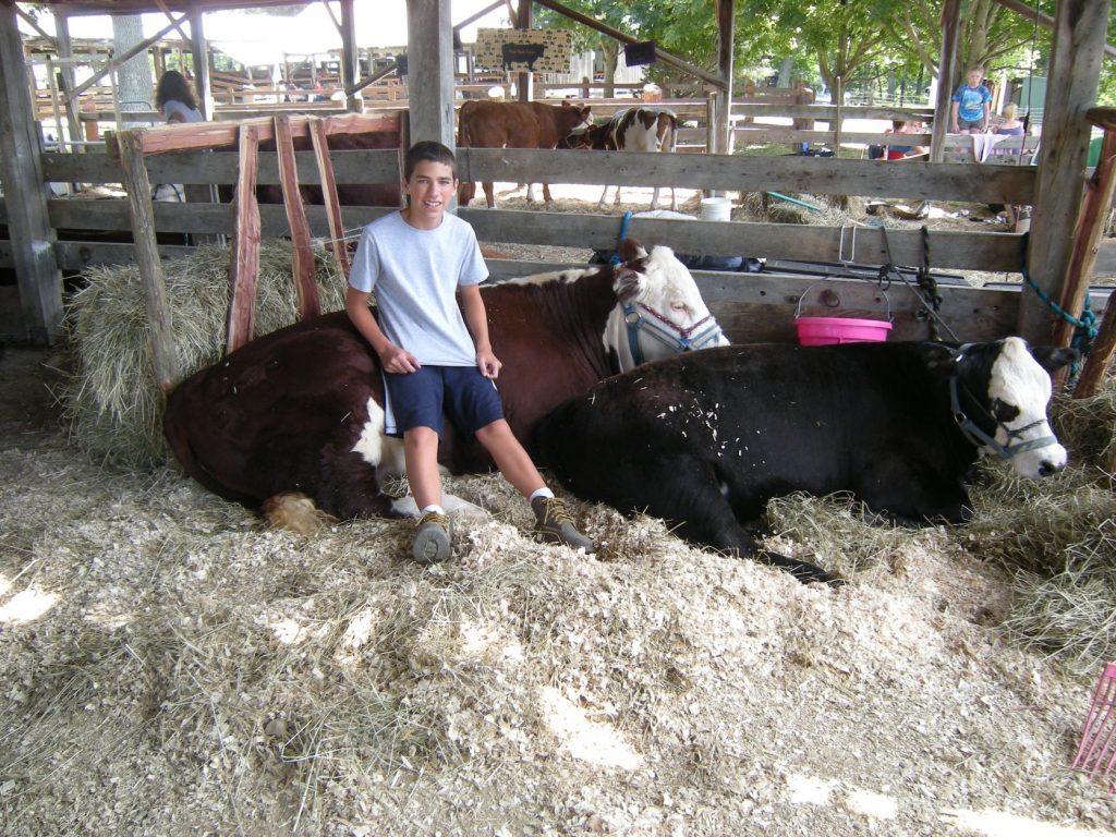 smiling boy with cows