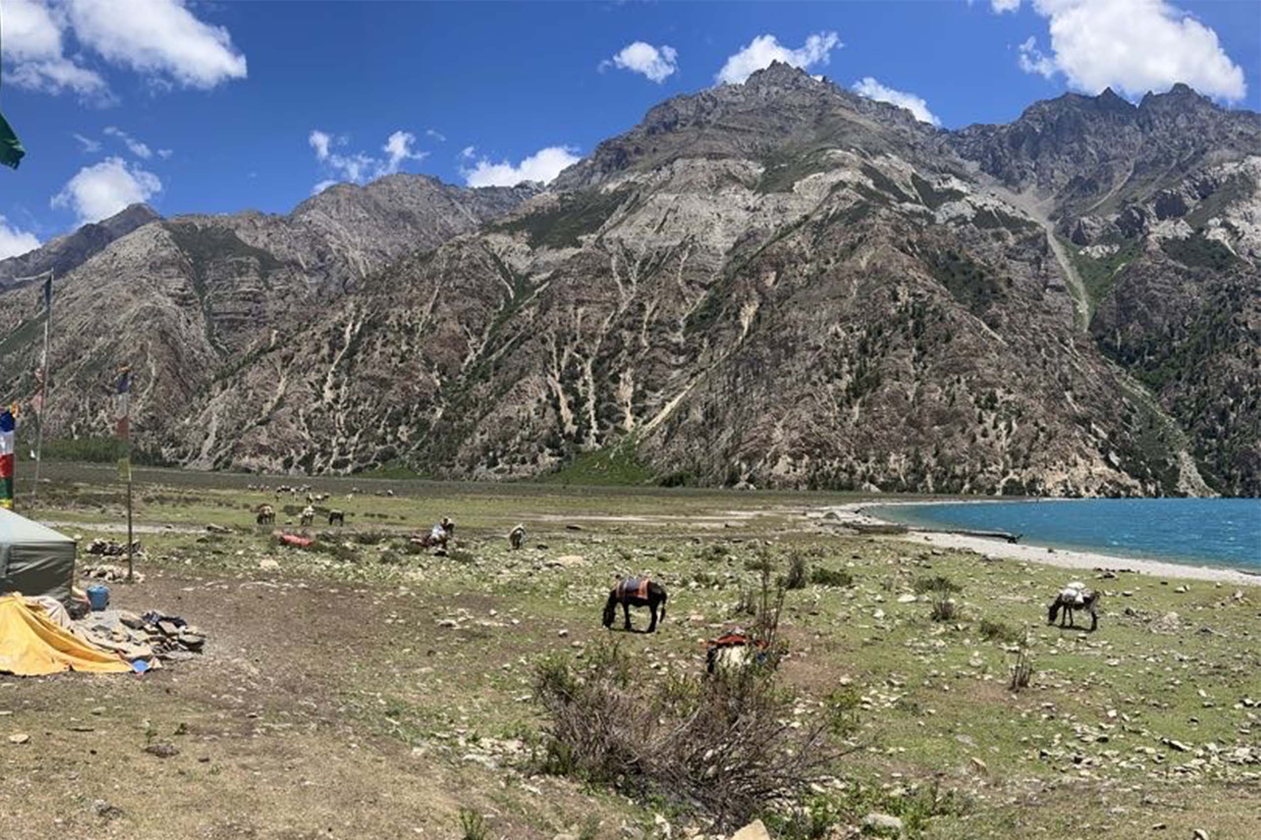 Horses graze in a remote section of the Himalayas – the horses were a vital part of the team, helping to carry the travelers over steep, narrow, sandy mountain passes.
