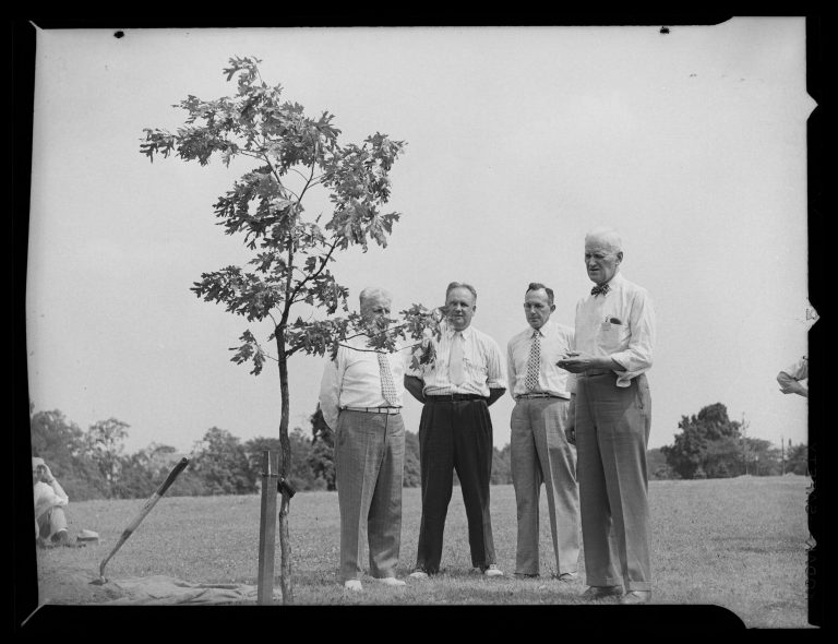 A photo from 1947 showing four men standing in front of a sapling tree, a 