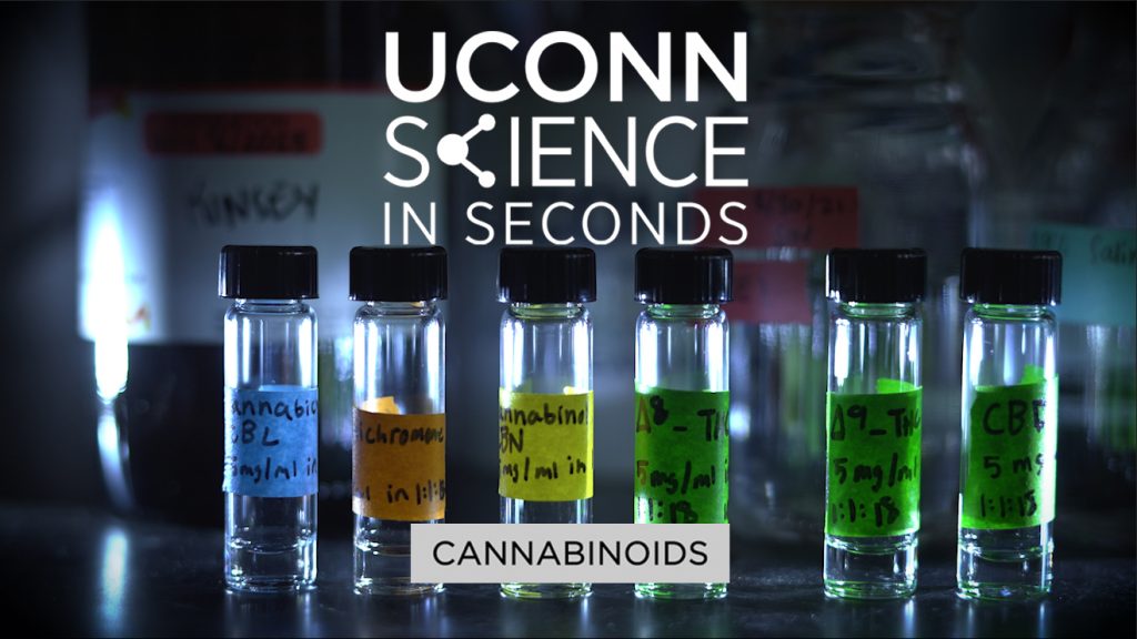 Viles in a row representing cannabinoid research with the overlay 'UConn Science in Seconds" over it