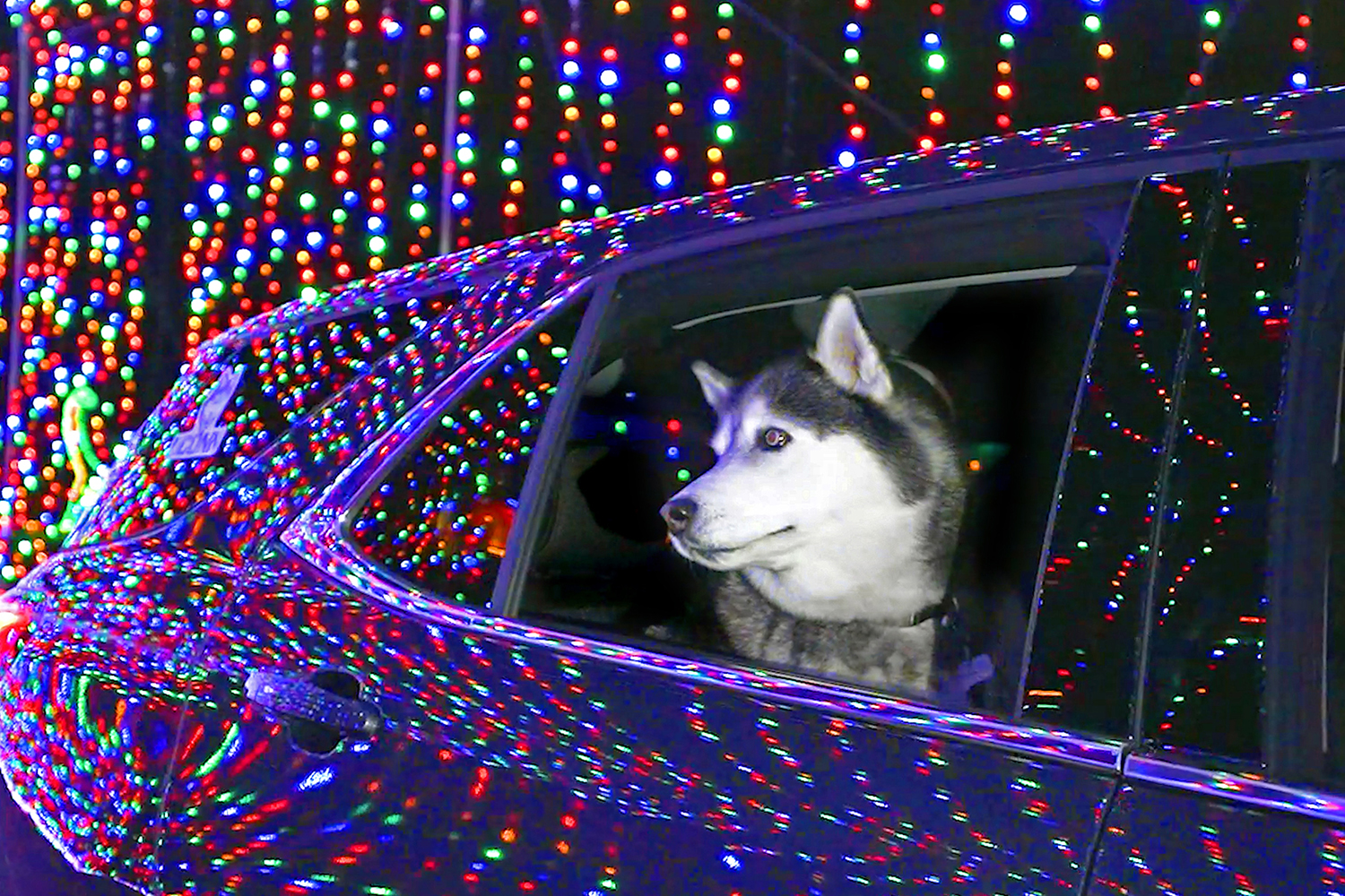 Bright Lights and Warm Wishes UConn Today