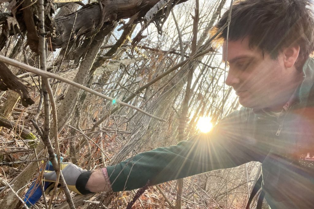 Man in woods