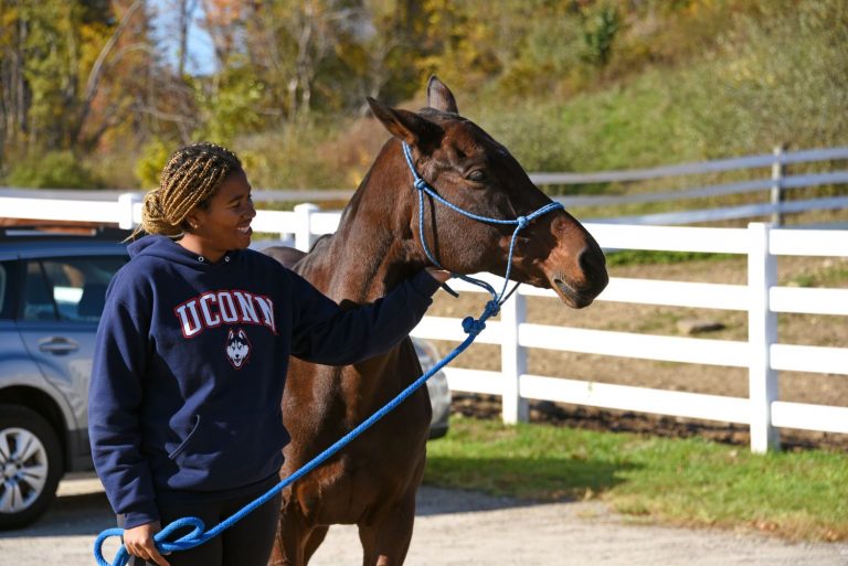 Female student walks with a horse
