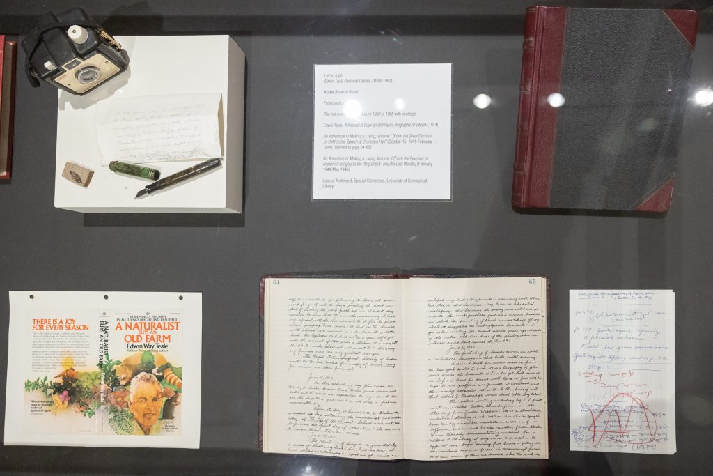 Items of impact from the life of Edwin Way Teale sit on display in the “Raid the Archive: Edwin Way Teale and New Works” exhibition in the William Benton Museum of Art