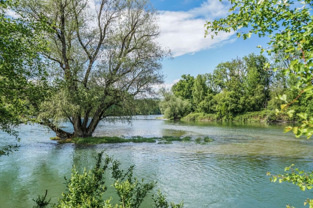 river scene