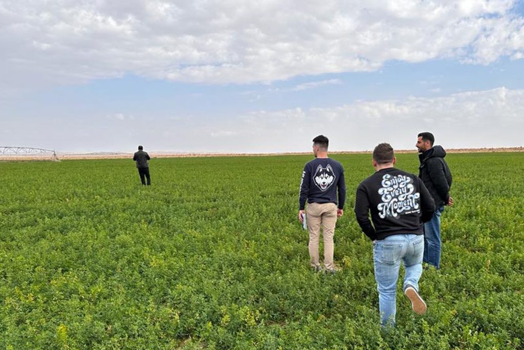 UConn faculty members walking in the alfalfa field in Jordan