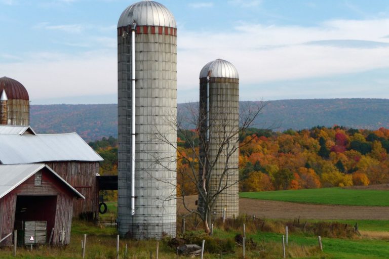 Grain silos on a dairy farm in Brunswick, New York, United States
