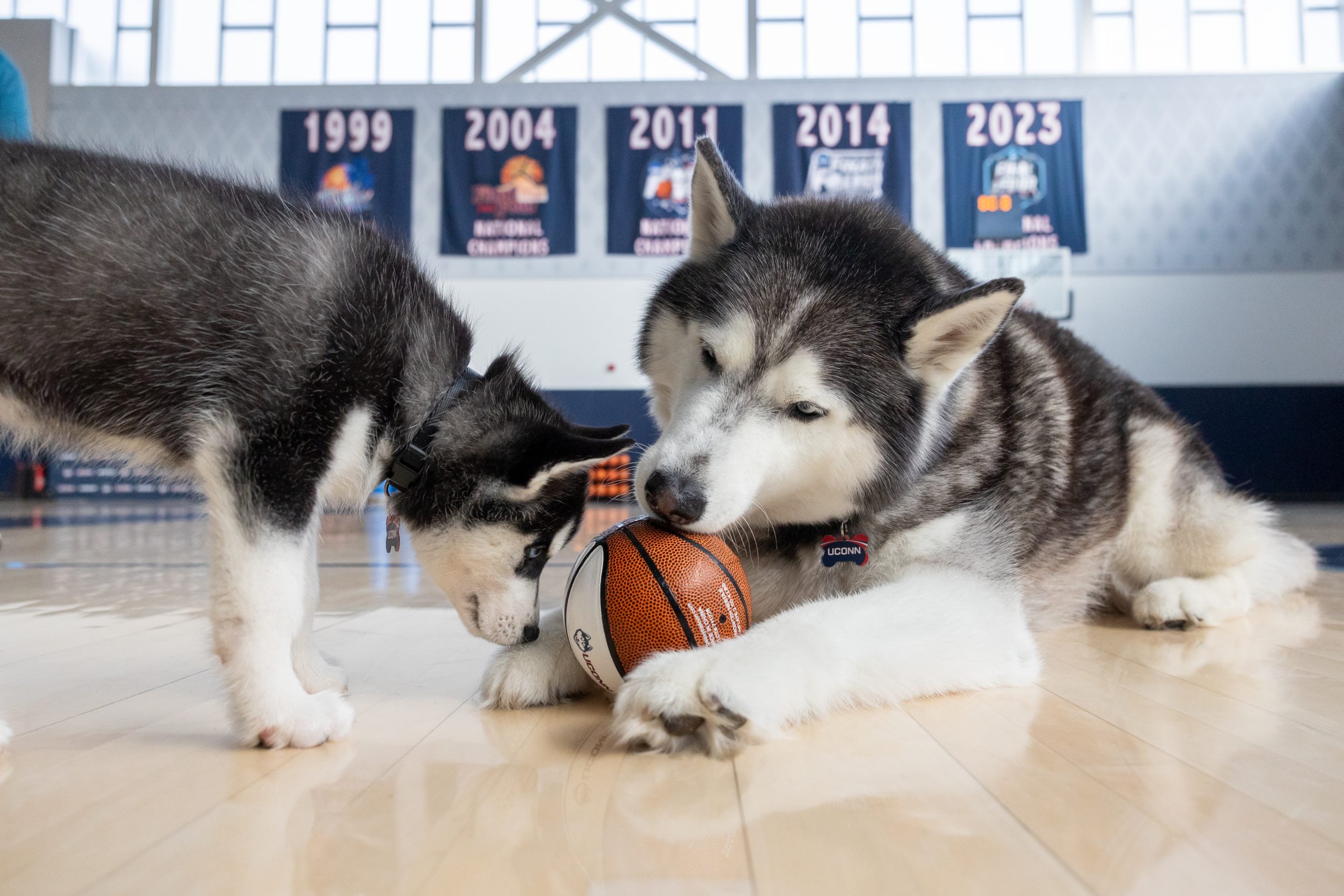 Jonathan XV and Jonathan XIV playing with a toy basketball in the Werth Family UConn Basketball Champions Center