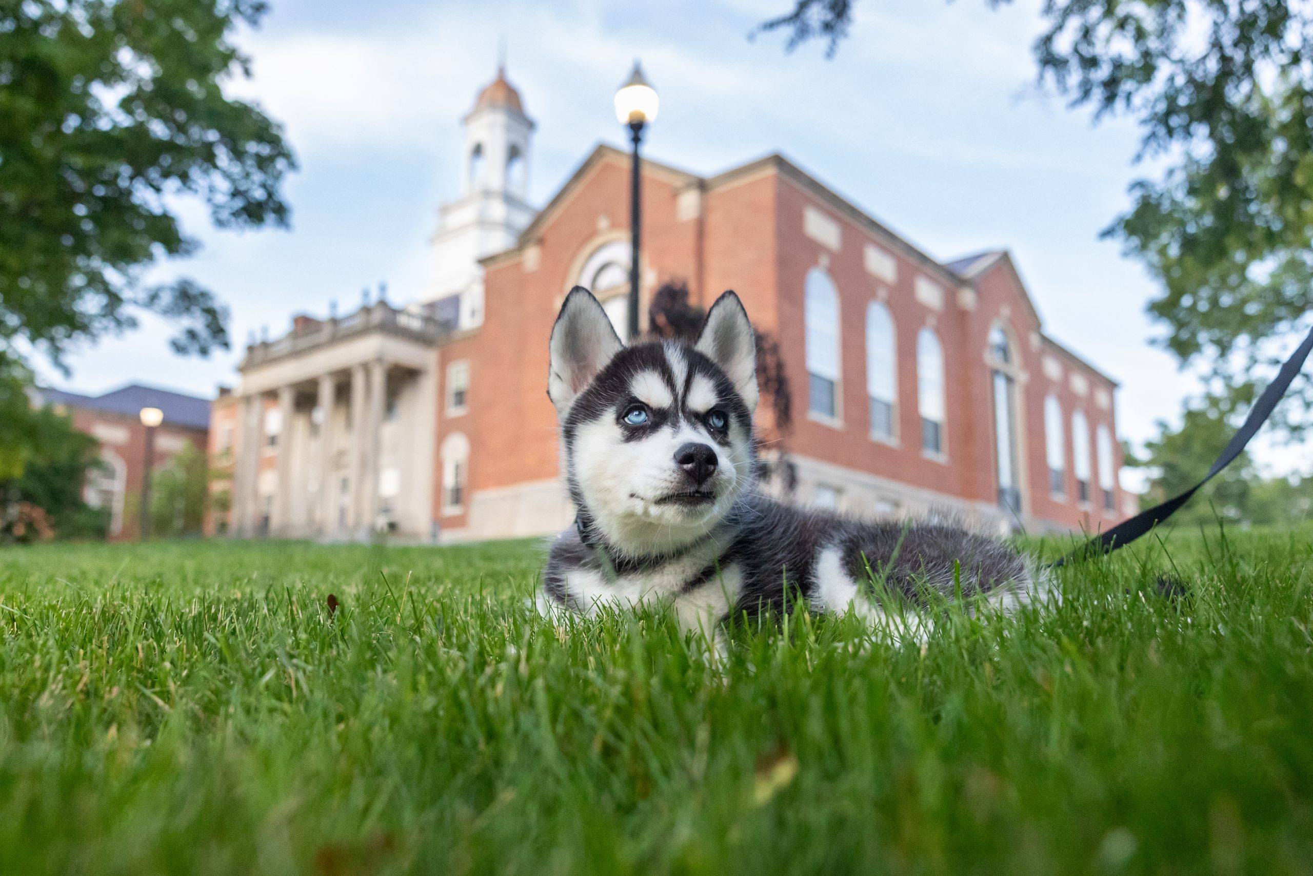 Jonathan XV poses outside of Wilbur Cross on his first trip to the Storrs campus.