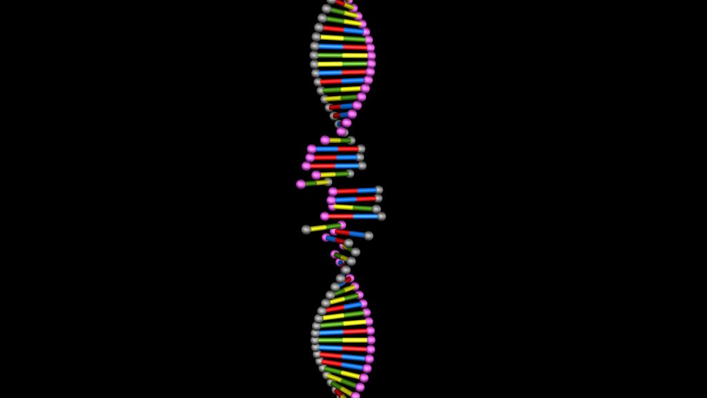 DNA molecule structure repair, editing and manipulation.