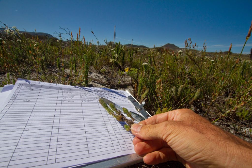 Adam Wilson's hand rests on a clipboard with field notes, holding a plant sprig, against a backdrop of brush flora.
