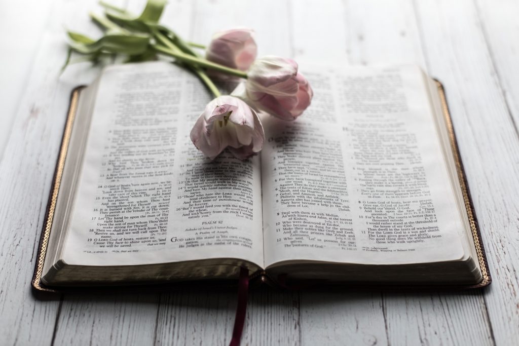 An image of a Bible and tulips