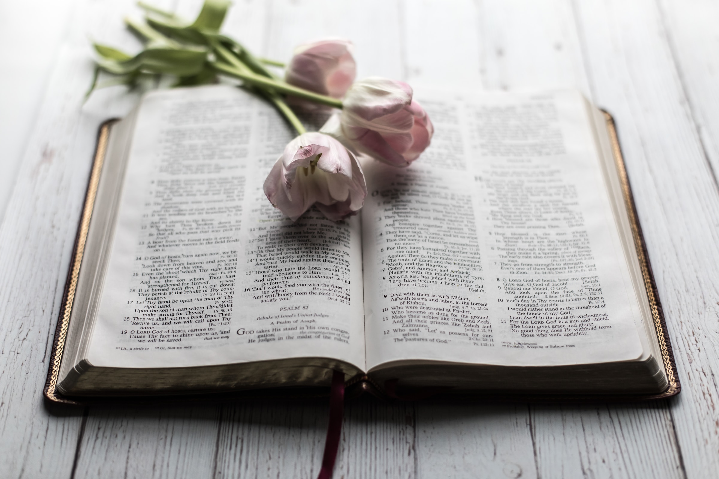 O Lord, My Strength {GND Notebook} O Lord, My Strength {GND Notebook}