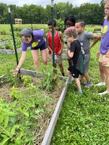 The Sustainable Community Food System fellows led the program, filled with creative activities to instill a deeper understanding of the topics needed to build stronger, more sustainable communities, including learning about how different types of food are grown.