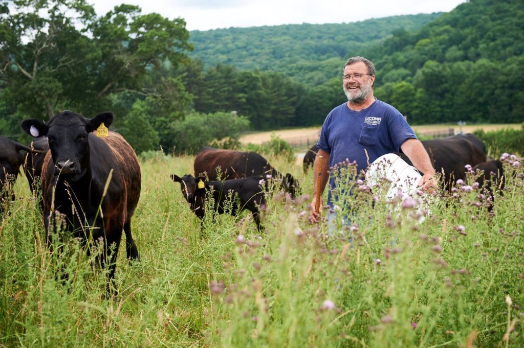 Man in field with angus steer