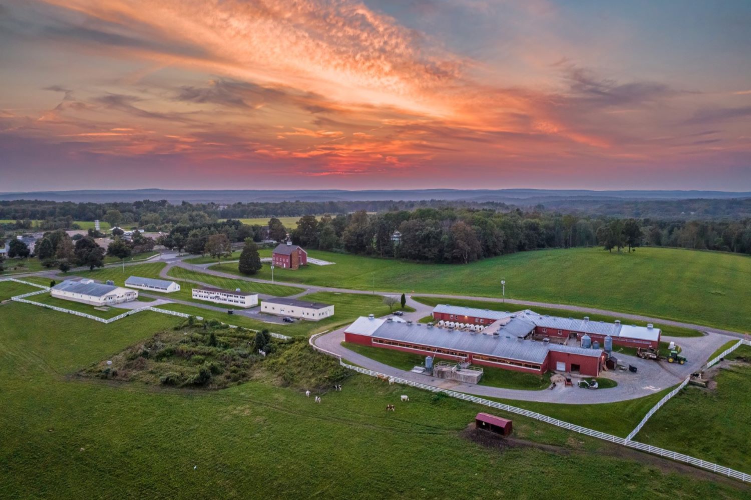 UConn’s Kellogg Dairy Center Named New England Green Pastures Winner