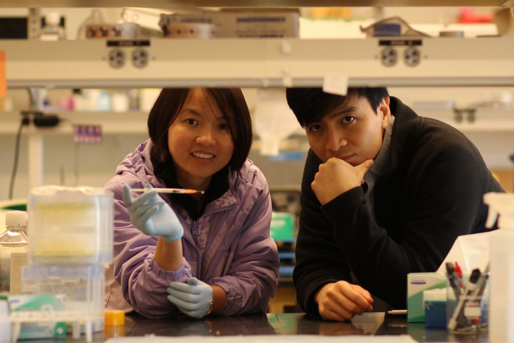 Associate Professor of Biomedical Engineering Thanh Nguyen (right) and graduate student Tra Vinikoor (left).