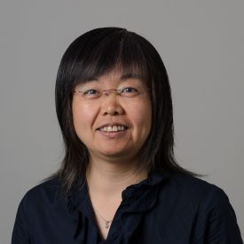 Portrait of Baikun Li