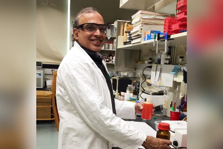 Challa Kumar, professor emeritus of chemistry, in his lab.