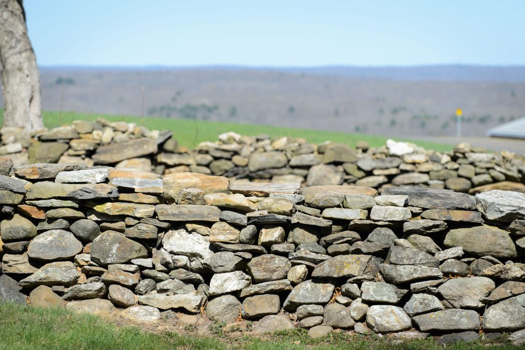 A stone wall along RT 195 near the Jacobson Barn.