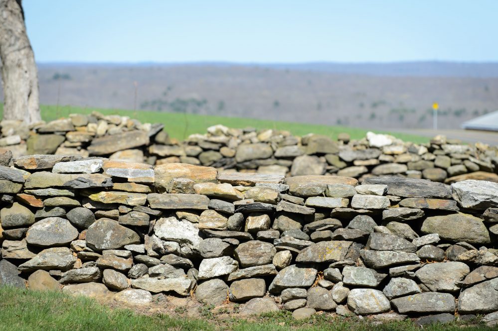 A stone wall along RT 195 near the Jacobson Barn.