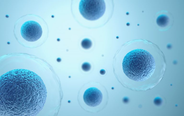 3-D rendering of human cells in a blue background.