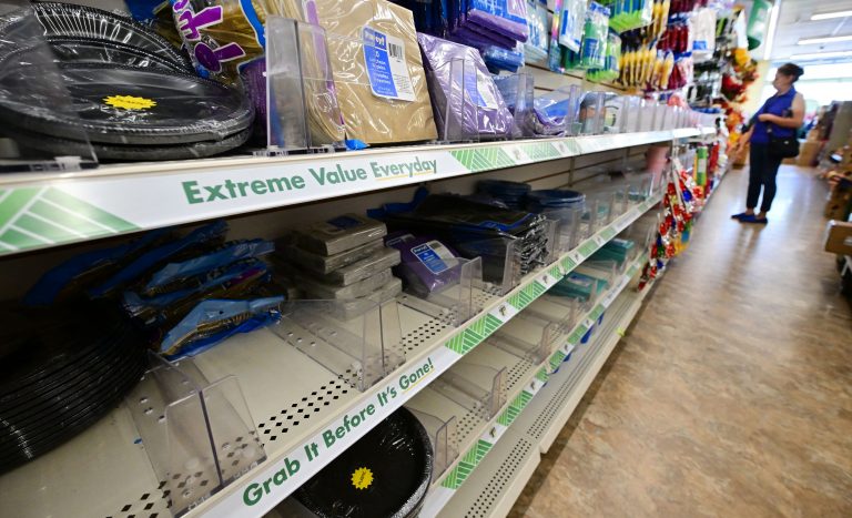 A woman shops in a dollar store with few products on the shelves.