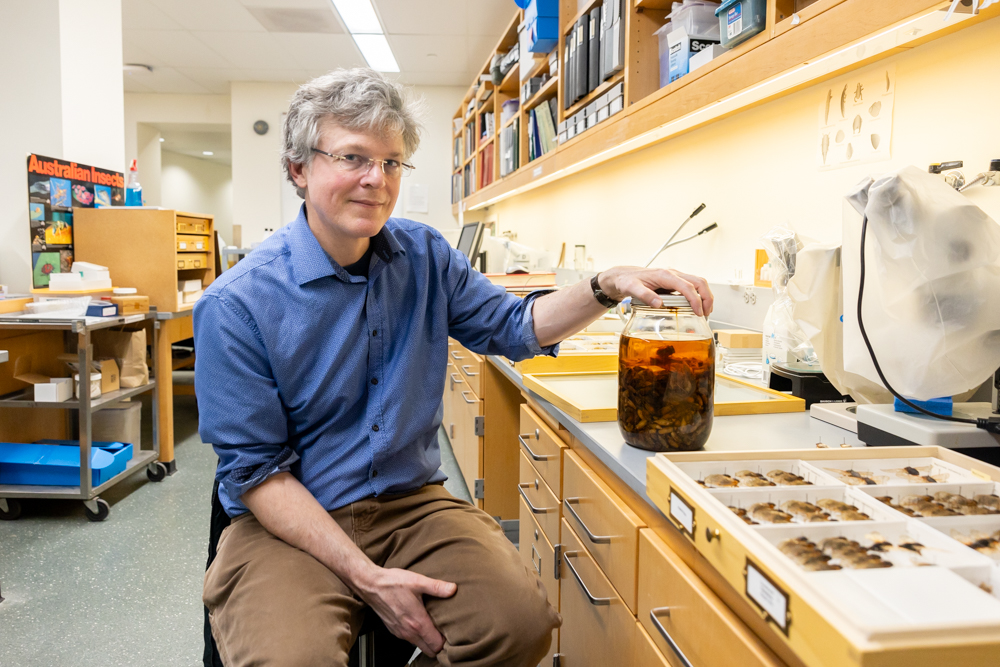 John Cooley, assistant professor-in-residence of ecology & evolutionary biology, poses with a jar of cicada specimens currently kept in UConn's Biodiversity Research Collections