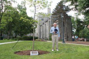 Professor Colin Tait standing next to a white oak tree that was planted in his honor on the campus of UConn Law. 