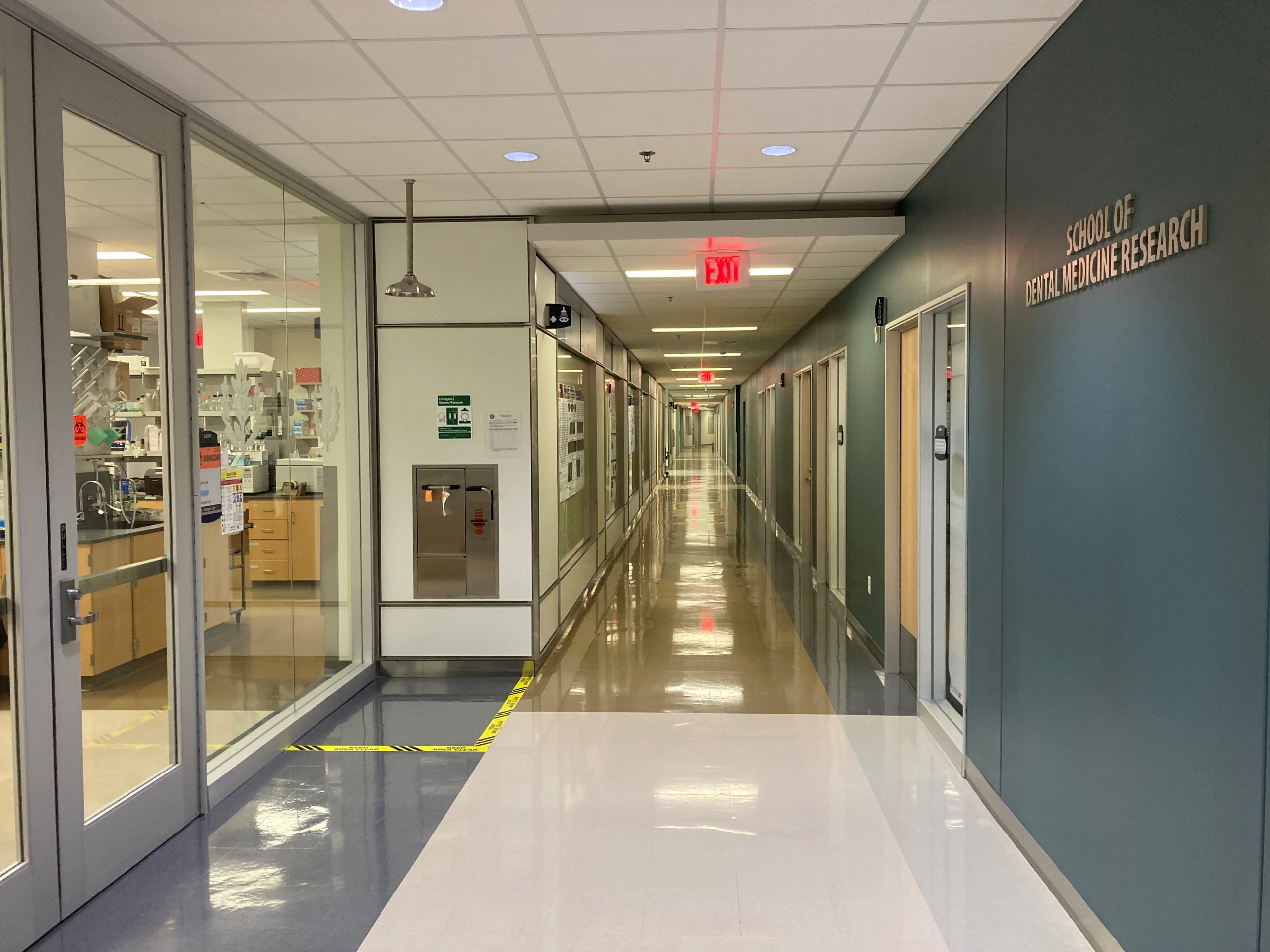 photo of school of dental medicine research offices