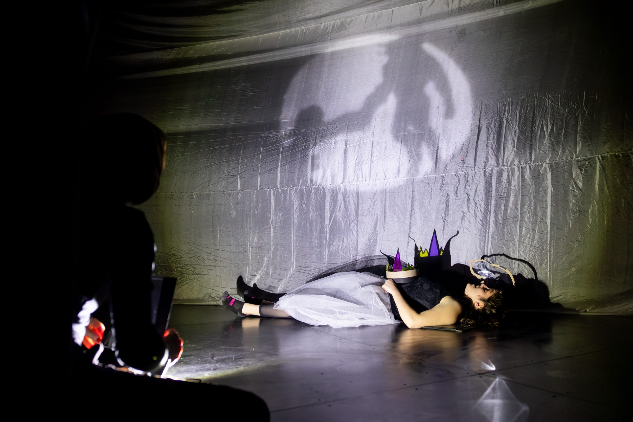 A cast member interacts with shadow puppets during a run-through of 'Taurus.'